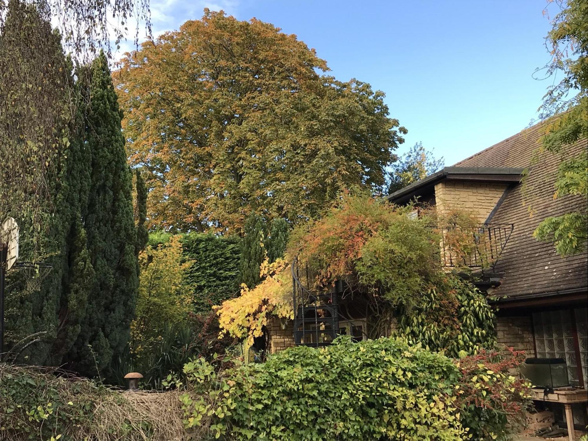 Sandford Meadow Guest House Kennington  Δωμάτιο φωτογραφία