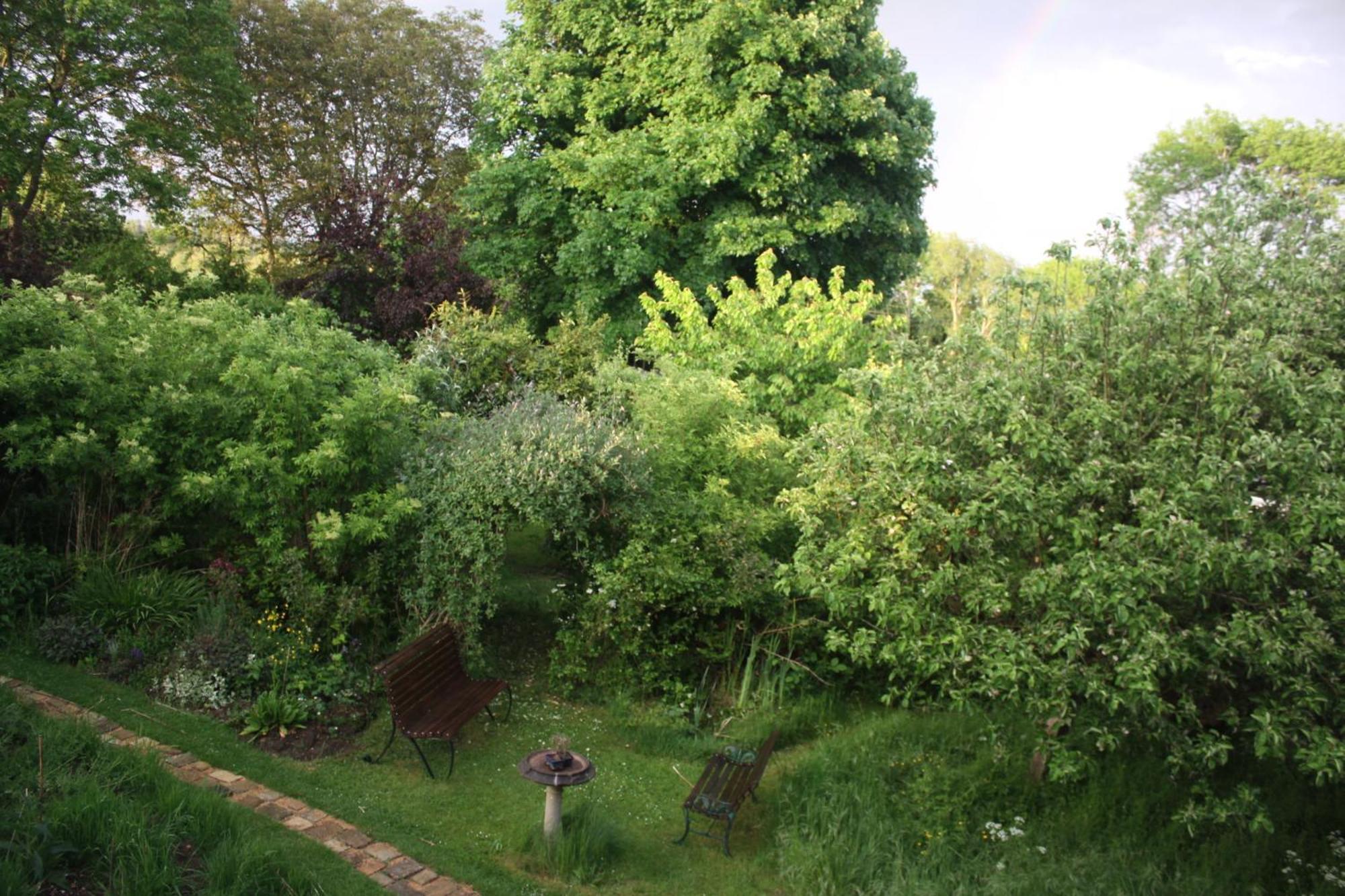 Sandford Meadow Guest House Kennington  Εξωτερικό φωτογραφία